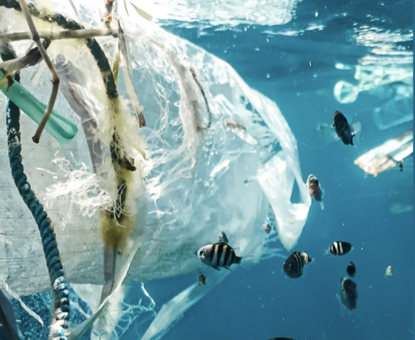 Plastics in the sea. Photo: Unsplash.
