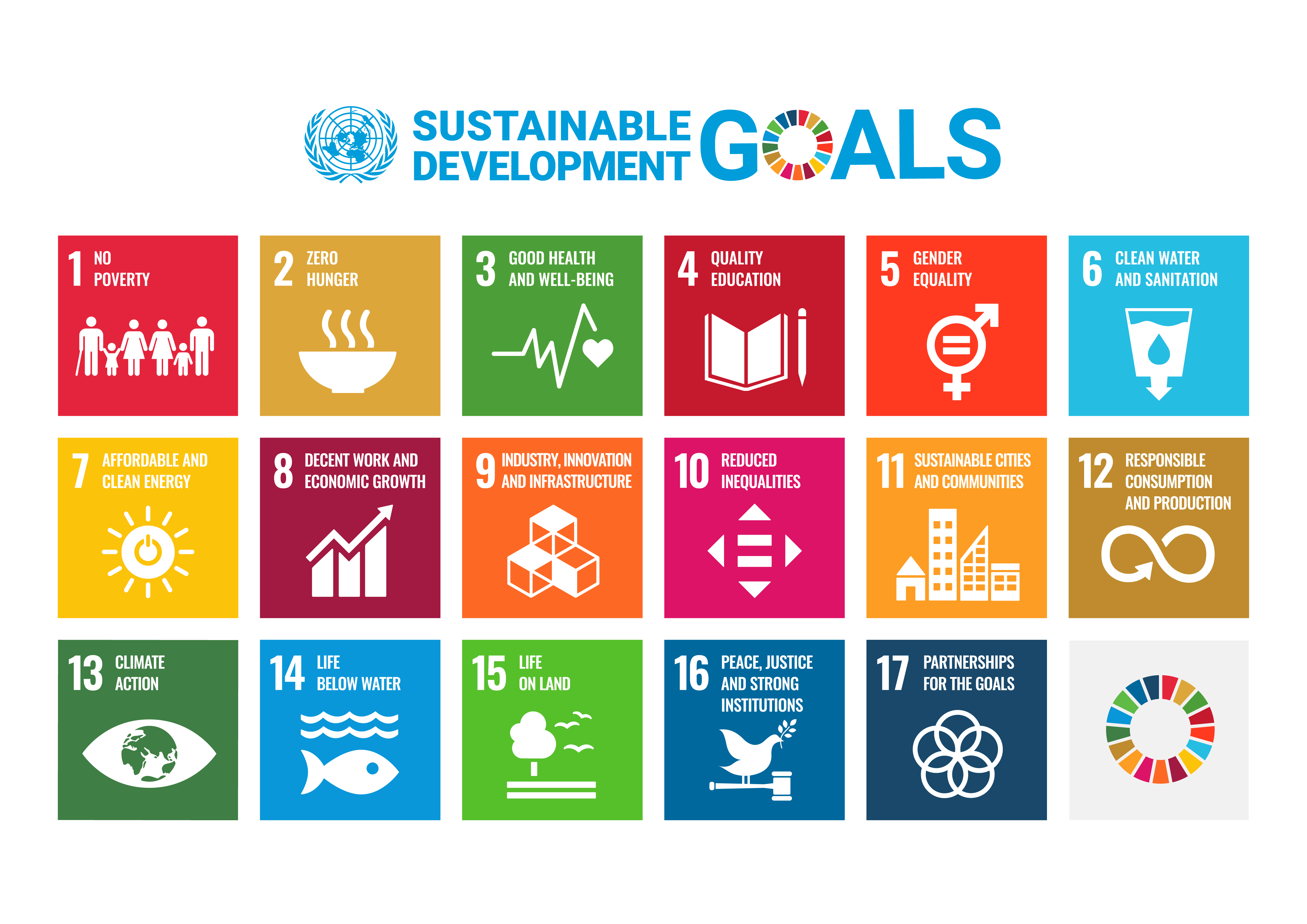 E_SDG_poster_UN_emblem_WEB 2020.png