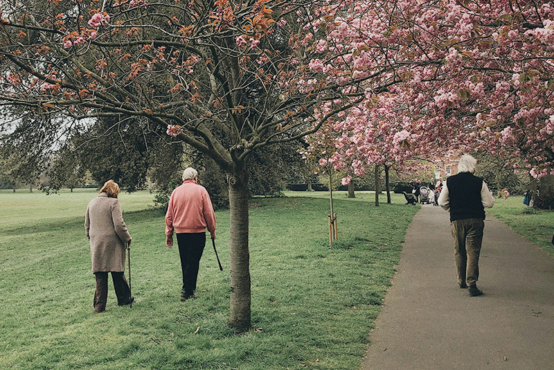 three elderly people walking in a park during springtime. Photo. 