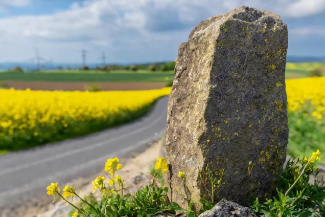 Old stone by the road next to rapeseed fileds in bloom.